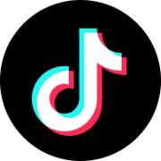 Icon for tiktok.com